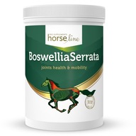 Boswellia Serrata 900 g + šnúrka na krk ZDARMA