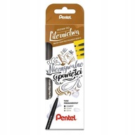 Perá pre kaligrafické písmo Set Pentel