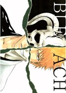 Anime Manga Bleach Plagát blh_167 A2