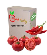 Horúca paradajková šťava s chilli 100% NFC 3L