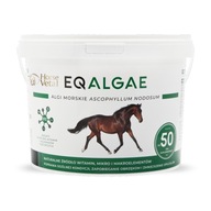 EQALGAE 2 kg - MORSKÉ RIASY PRE KONE!!! 2 kg!!!