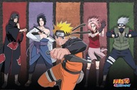 Naruto Shippuden Allies - plagát 91,5x61 cm