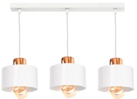 NASTAVITEĽNÉ STROPNÉ ZÁVESNÉ LAMPA LOFT 3 LUSTER