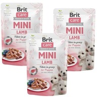 BRIT CARE MINI PUPPY LAMB PRE ŠTENIATKA 24x85g