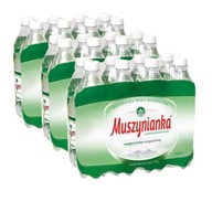 Muszynianka nízkosýtená CO2 voda 0,6 l 24 kusov