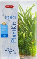 ZOLUX PLANTKIT IDRO N°4 Akvarijné rastliny