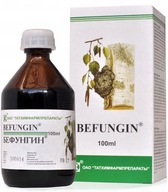 BEFUNGIN | Brezový náboj | Sibírska čaga 100 ml