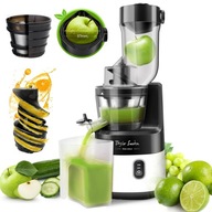 Taylor Swoden Slow Juicer