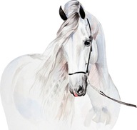 Samolepky na stenu pre deti White Horse D312 125cm