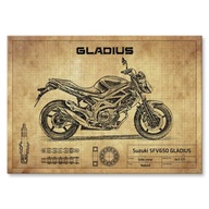 Suzuki SFV650 GLADIUS darček kovový plagát L