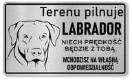 Attention Pes Labrador plaketa veľká 25x15