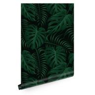 Tapeta s tropickými listami monstera T0520