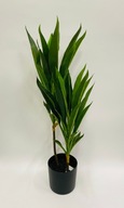 UMELÁ DRACENA V 65 CM hrnci