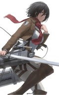 Plagát Anime Attack on Titan aot_011 A1+ (vlastné)