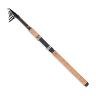 Prút Ashigari Tele Carp 3,3m 40-90g - Robinson