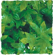 ZOO MED Dekoratívna rastlina Kongo Ivy Medium