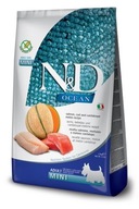 FARMINA N&D OCEAN DOG LOSOS, COD & CANTALOUPE 2,5 kg