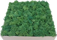 Odrezky machu Forest Green Kartón 3kg