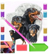 Diamantová výšivka PES plemena ROTTWEILER 30x40