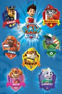 Plagát PAW Patrol hrdinovia 61x91,5 pre deti