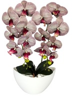 UMELÝ SILIKÓN KVET ORCHIDEY ORCHIDE