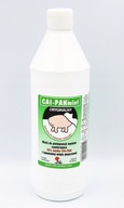 Cai Pan Mint 1000 ml