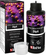 Red Sea DipX 100 ml