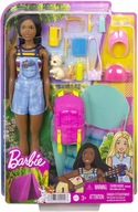 BÁBIKA BARBIE BROOKLYN V CAMPINGU + DOPLNKY HDF74