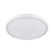 Stropné svietidlo LED stropné svietidlo FABIO 24W, Okrúhle NW