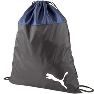 Puma teamGOAL 23 Gym BAG