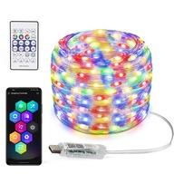 SMART NEON RGBIC LED STRIP Bluetooth 10M IP65 USB