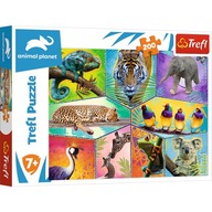 PUZZLE 200 ZVIERAT TIGER CAT 7+ KLUBOV