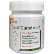 Dolvit Gland mini 60 tabliet Perianálne žľazy