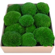 PREMIUM Cushion Moss Dark Green 0,06 m2