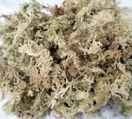 SPHAGNUM HOUYI sphagnum mech 12 litrov MT-01Goldi