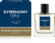 MELODY MEN SYMPHONY INTENSE toaletná voda, 100 ml