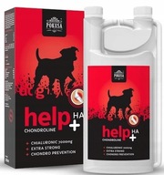 Temptation ChondroLine Help+HA 1000ml na pohybový aparát