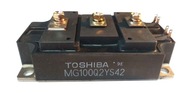 IGBT MODUL MG100Q2YS42 MITSUBISHI FV GW Finaltech