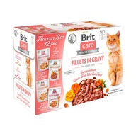 BRIT CARE CAT FLAVOUR BOX KRMIVO PRE MAČKY 12x85g