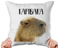 Vankúš CAPYBARA nabok 40 x 40 cm zvieratko