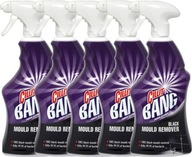 CILLIT BANG Mold Black Sediments Power Spray 5x750ml