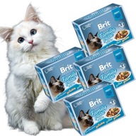 Brit Cat vrecúška Family Plate 4x12 CAT POUCH GRAVY FILLET 1020g