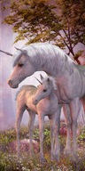 Veľká plážová osuška UNICORN UNICORNS 140x70