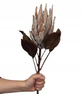 ARTICHOKE PROTEA umelá hnedá kráľovská strieborná umelá vetvička 70 cm