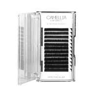 Wonder Lashes Camellia Natural D 0,07 mix 7-11