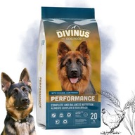 DIVINUS Performance suché krmivo pre psov labradorského ovčiaka, vitamíny 20 kg