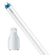 LED žiarivka G13 T8 8W 800lm 6500K 60cm PHILIPS