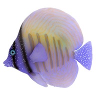 Umelá fluorescenčná morská ryba Zebrasoma F