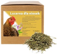 Alfalfa pre sliepky 5 kg SUCHÉ KRMIVO PRE NOSNICE