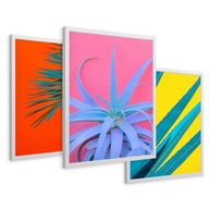 SET Zarámované obrazy plagáty listy rastliny aloe triptych 43x99